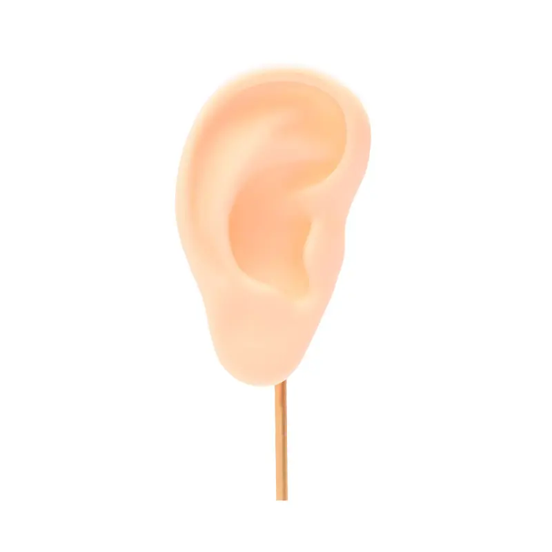 07724-1-Soporte-exhibidor-oreja-en-silicona.webp