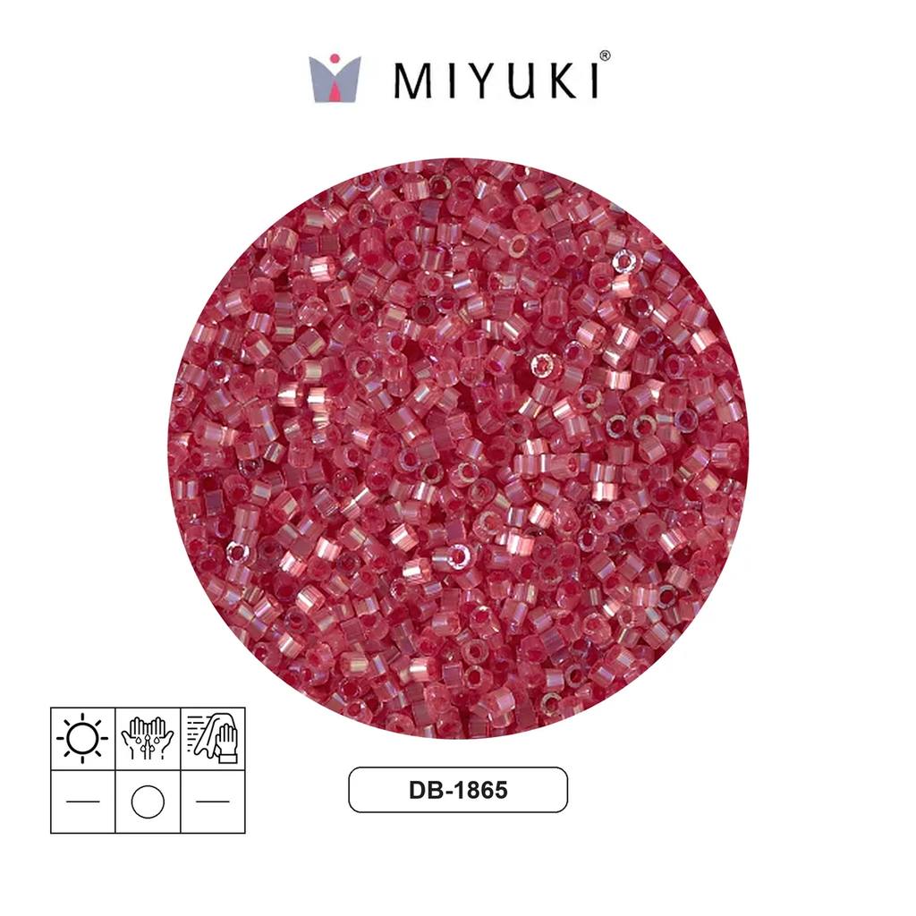 Miyuki delica 11/0 DB1865 color lined berry AB x 50g