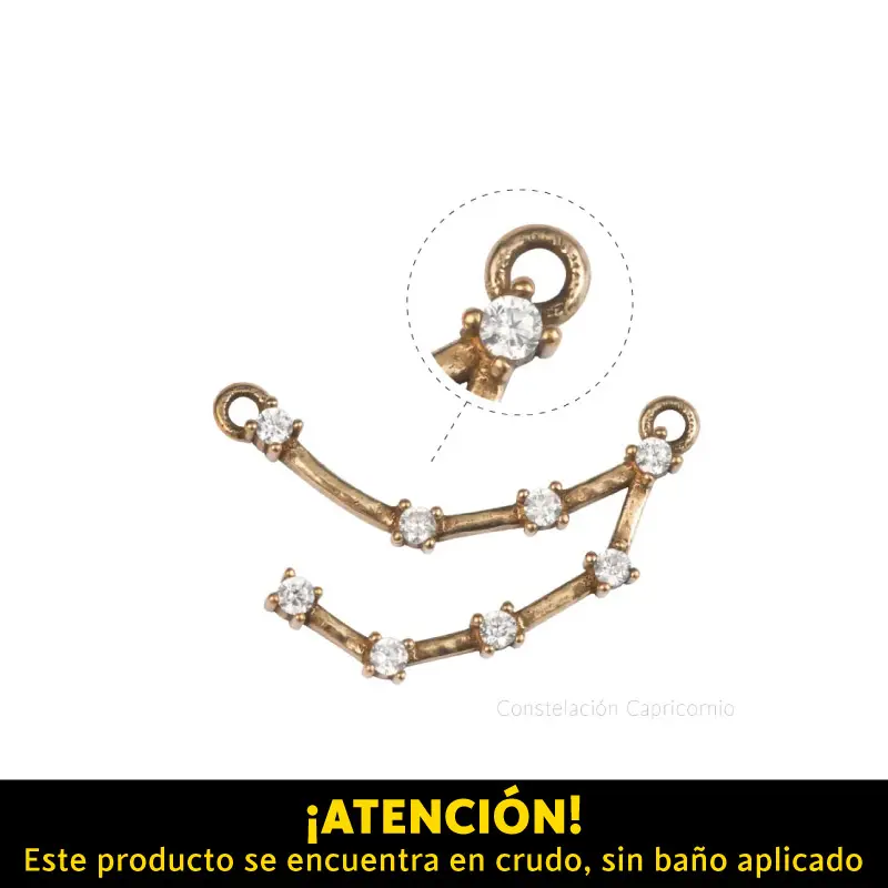 Dije micropave zodiaco capricornio/R x 10unds