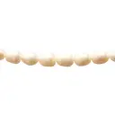 Perla biwa rice 11x12mm x 35cms (29 unds aprox)