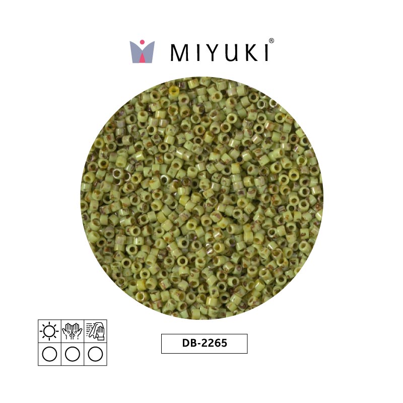 Miyuki delica 11/0 DB2265 opaco chartre picasso x 50gr