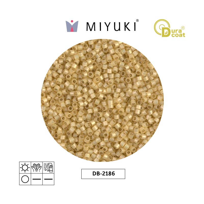 Miyuki delica 11/0 DB2186 Duracoat sil vino x 50g