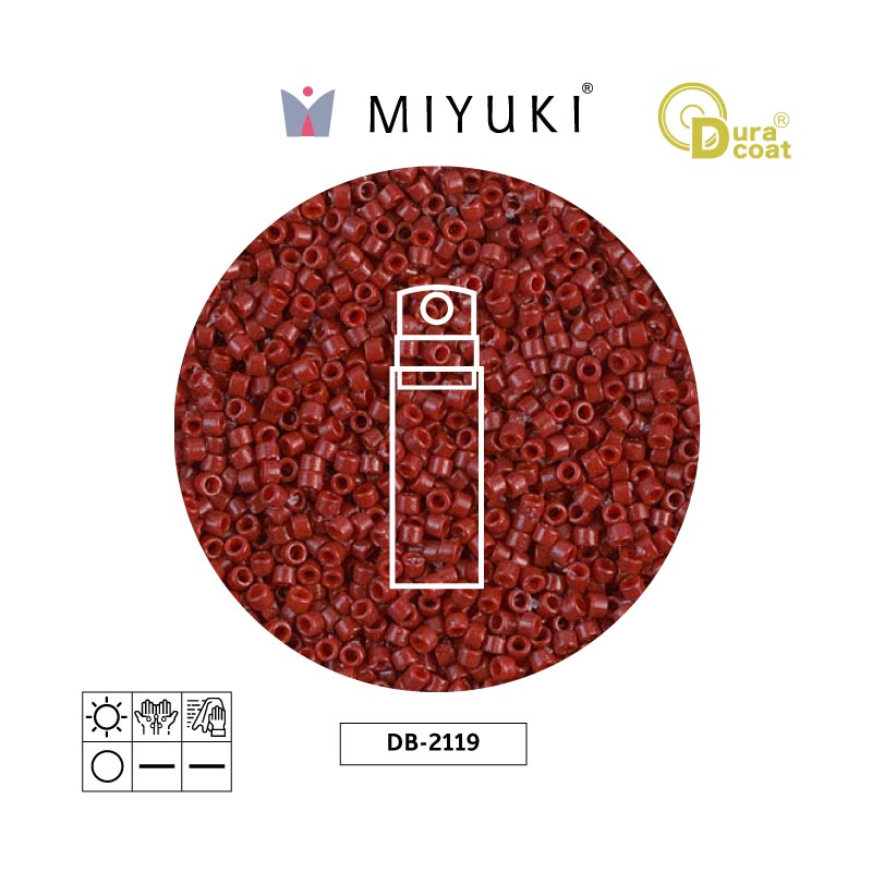 Miyuki delica 11/0 DB2119 opaco jujube x 10gr