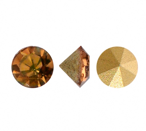 [30461] MC chaton Lian golden amber AB PP10 x gruesa