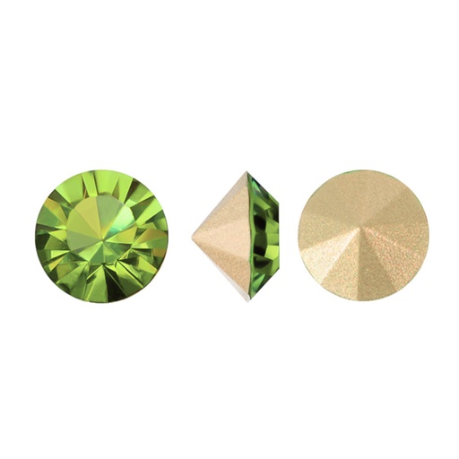 [20495] MC chaton Lian olivine PP4 x gruesa
