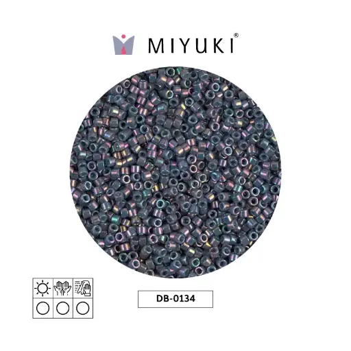 [29250] Miyuki delica 11/0 DB0134 opaco morado gris arcoíris lusterr x 50gr