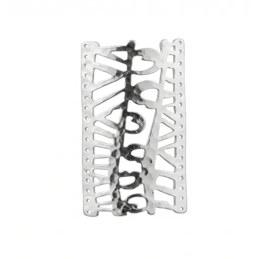 Placa Mishky safari 3x6cm plateada
