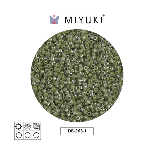 [25669] Miyuki delica 11/0 DB0263-1 opaco cactus lusterr x 50g